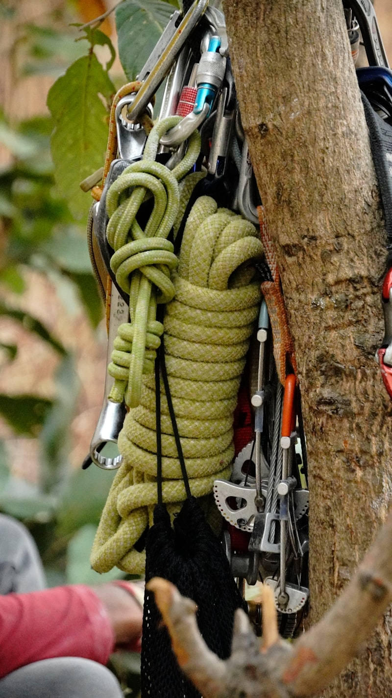 Harness Selection Guide: Sport vs Trad vs Alpine