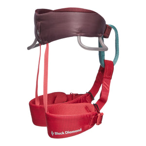 Momentum Harness - Kid's